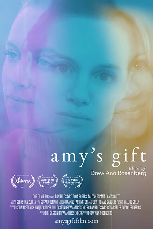 Movie poster for Amy's Gift (2020)