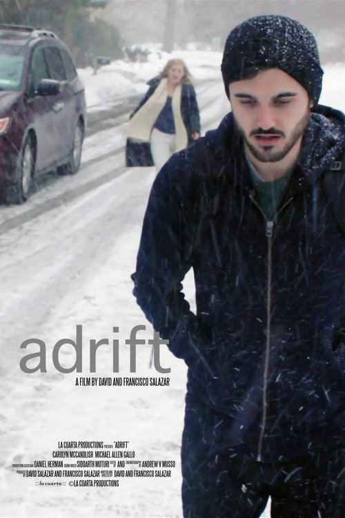 Movie poster for Adrift (2015)