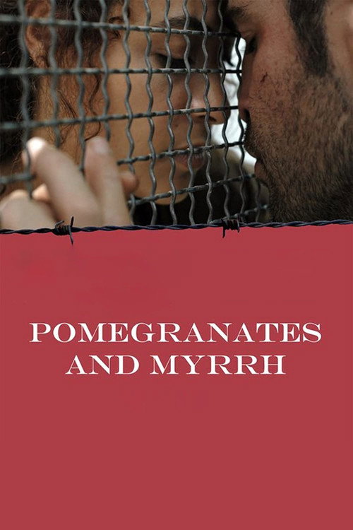 Movie poster for Pomegranates and Myrrh (2009)