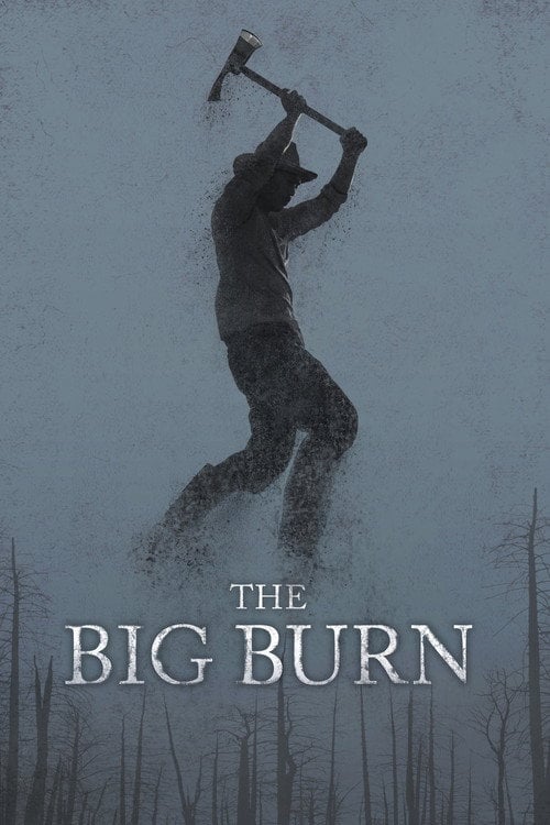 Movie poster for The Big Burn (2015)