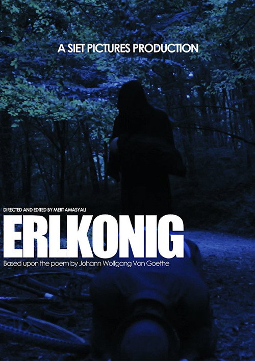 Movie poster for Erlkönig (2016)