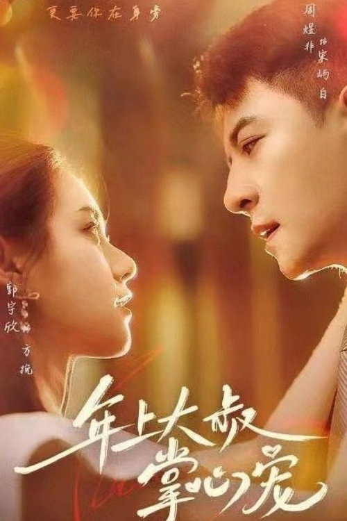 年上大叔掌心宠 poster