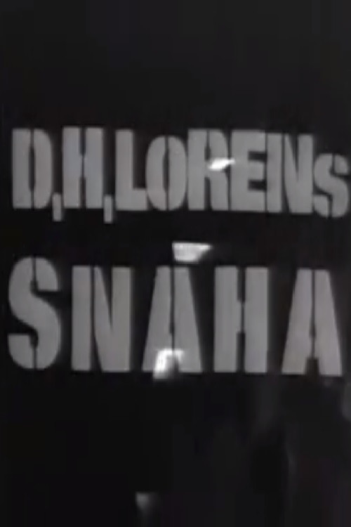 The Daughter-in-Law poster