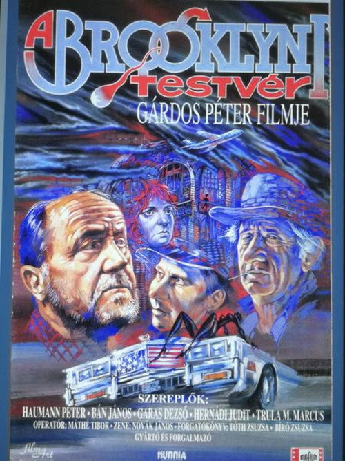 Movie poster for The Brother from Brooklyn (1995)