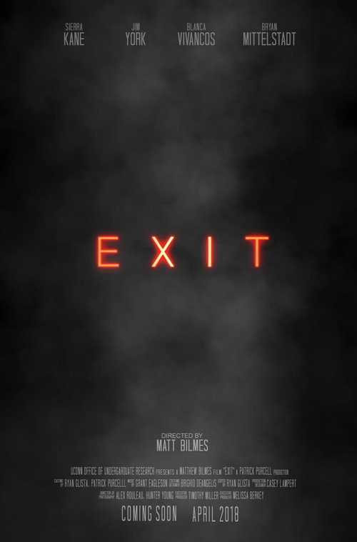 Movie poster for Exit (2018)