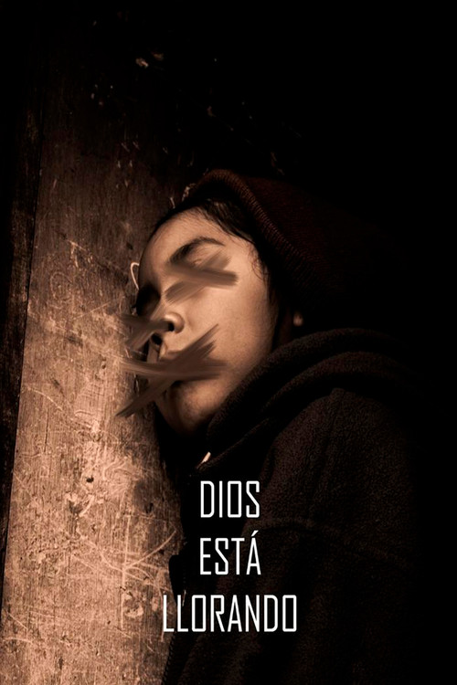 Movie poster for Dios está llorando (2019)
