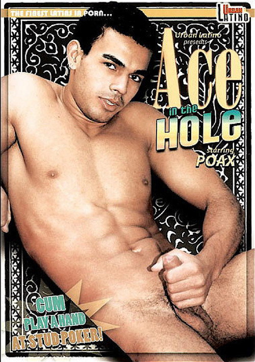 Movie poster for Ace In The Hole (2008)