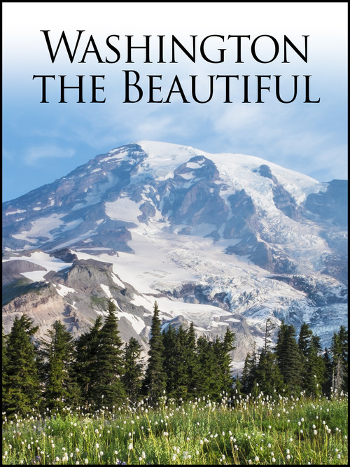 Movie poster for Washington the Beautiful (2007)