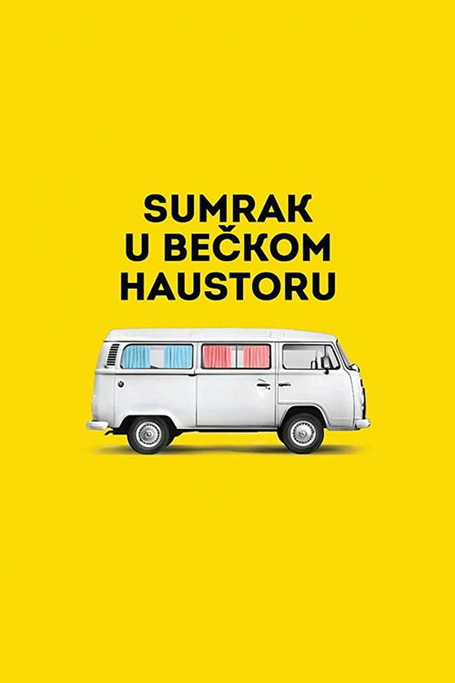 Movie poster for Vienna Hallways (2020)