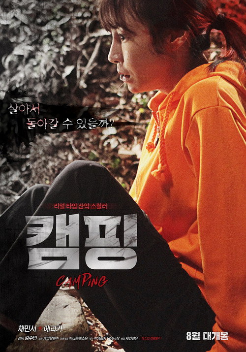 Movie poster for Camping (2016)