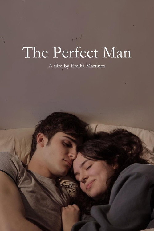 Movie poster for The Perfect Man (2023)