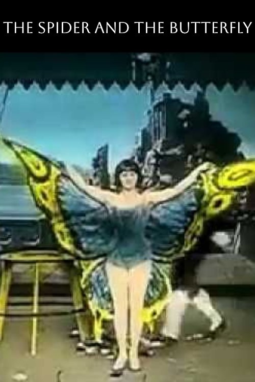 Movie poster for The Spider and the Butterfly (1909)
