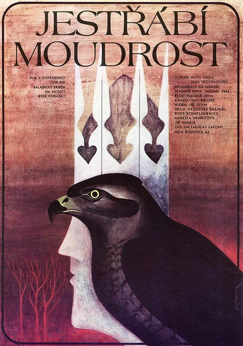 Movie poster for Jestřábí moudrost (1990)