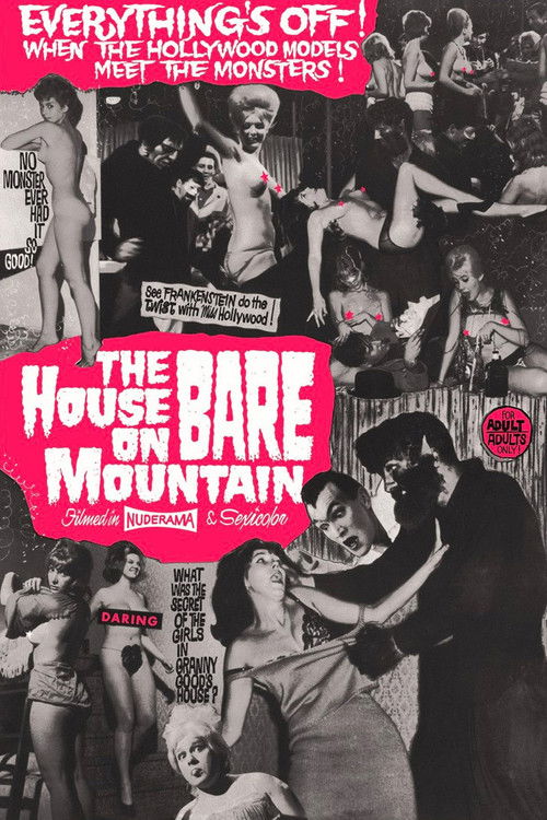 Movie poster for House on Bare Mountain (1962)