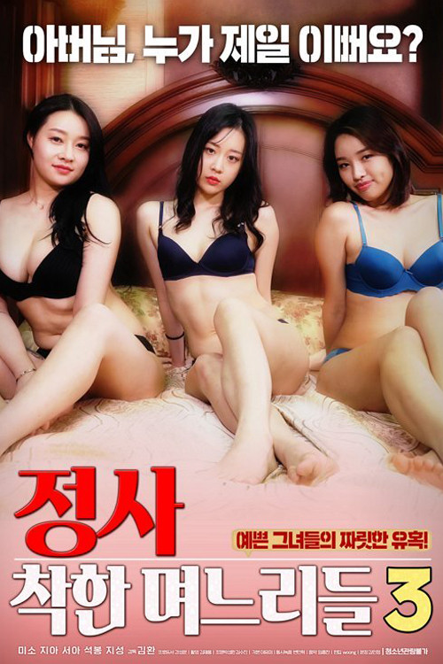 Movie poster for An Affair: Kind Daughters-in-law 3 (2019)