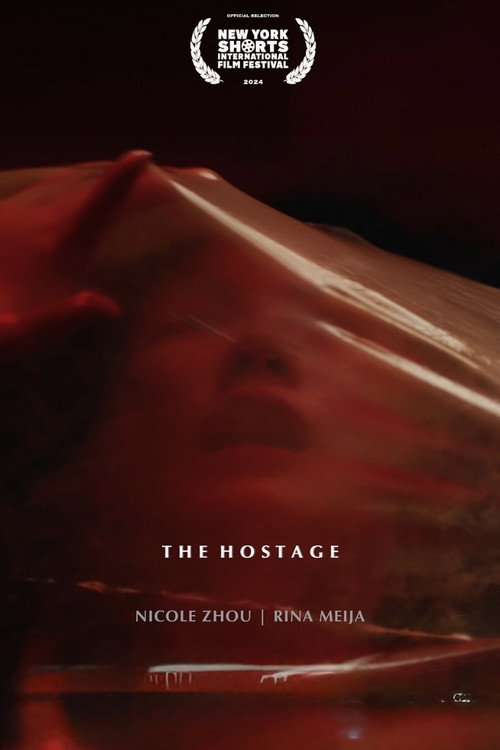 Movie poster for The Hostage (2024)