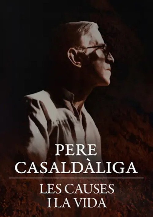 Movie poster for Pere Casaldàliga. Les causes i la vida (2013)