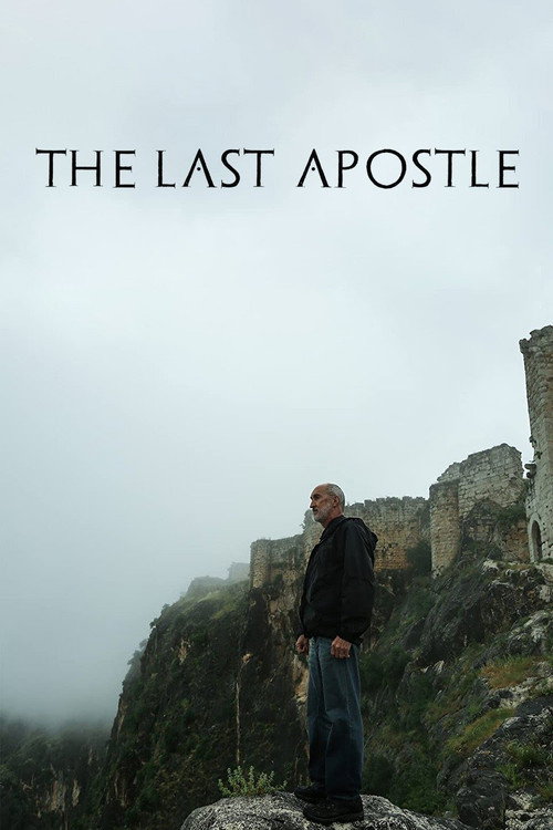 Movie poster for The Last Apostle: Journies in the Holy Land (2020)