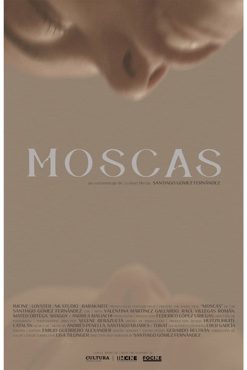 Movie poster for Moscas