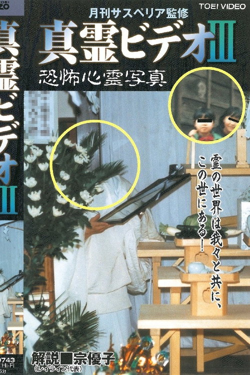 Movie poster for Shin rei bideo III: Kyôfu shinrei shashin (1999)