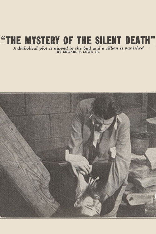 Movie poster for The Mystery of the Silent Death (1915)