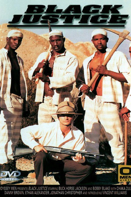 Movie poster for Black Justice (1998)