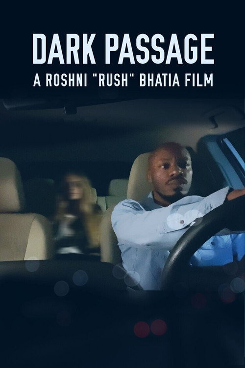 Movie poster for Dark Passage (2019)