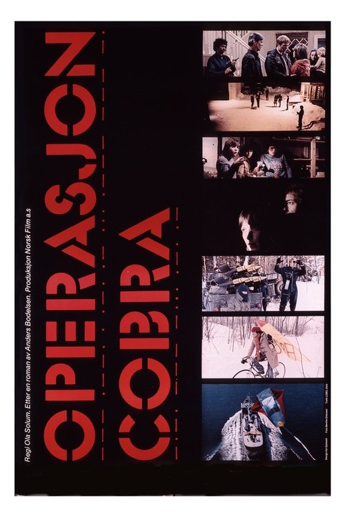 Movie poster for Operation Cobra (1978)