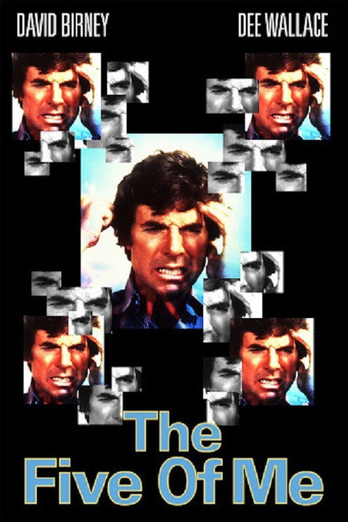 Movie poster for The Five of Me (1981)