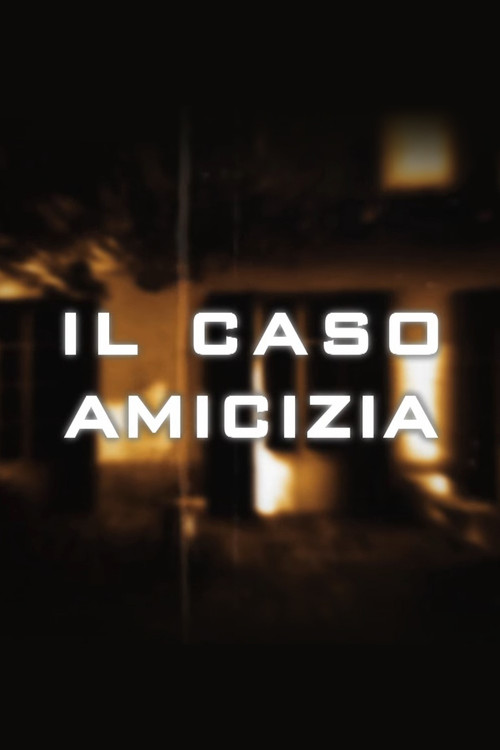 Movie poster for Il caso Amicizia (2009)