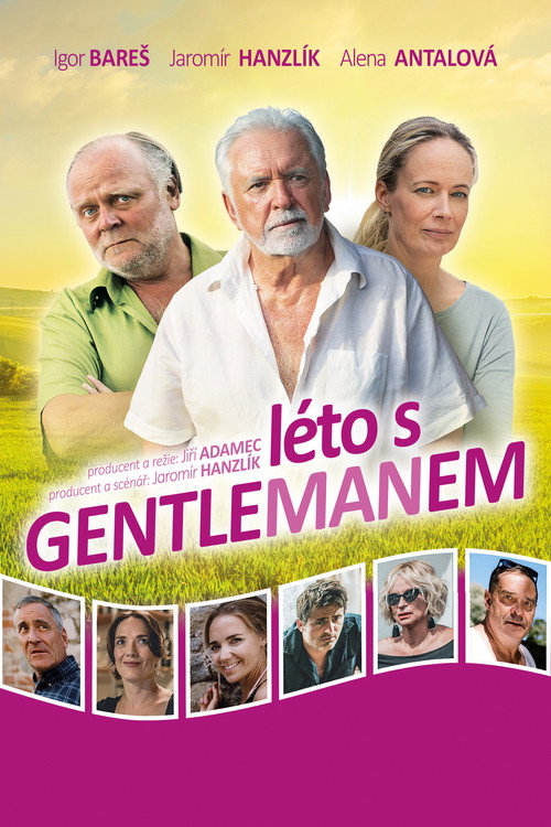 Movie poster for Summer with the gentleman (2019)