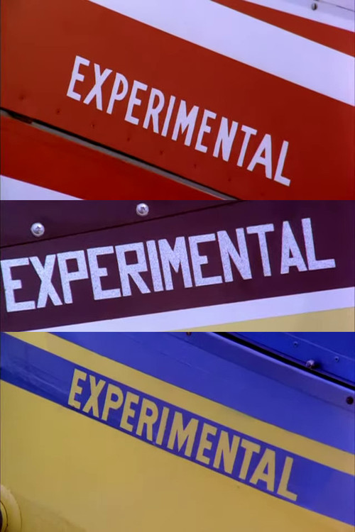 Movie poster for Experimental (1974)