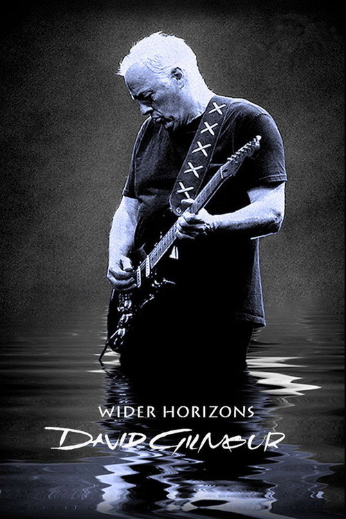 Movie poster for David Gilmour: Wider Horizons (2015)