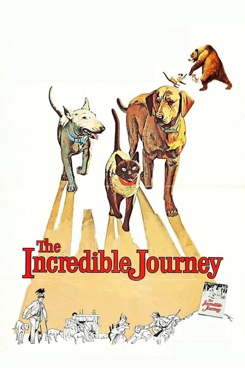 Movie poster for The Incredible Journey (1963)