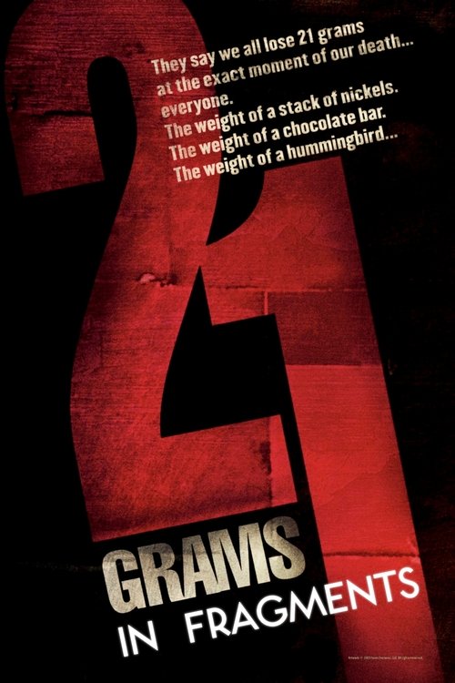 Movie poster for 21 Grams: In Fragments (2004)