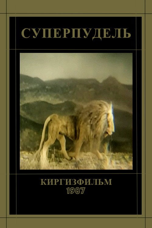 Movie poster for Superpoodle (1987)