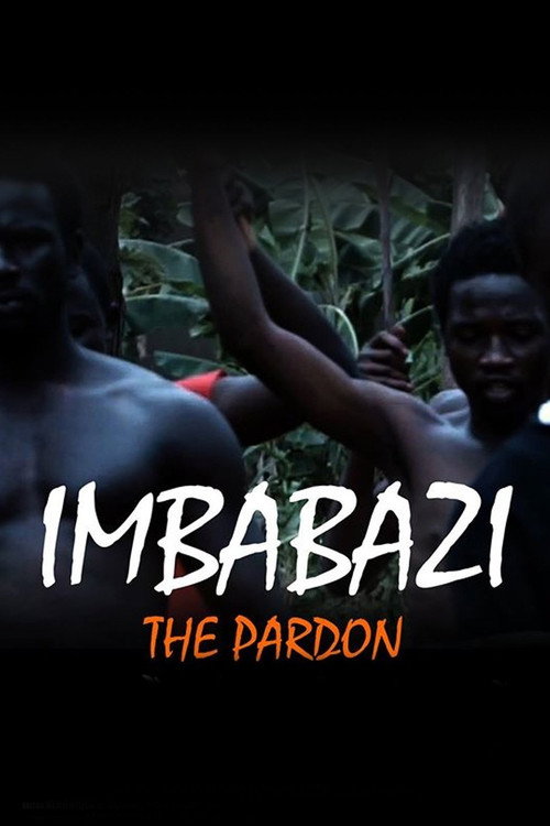 Movie poster for The Pardon (2013)