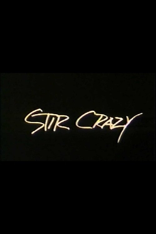 Stir Crazy poster