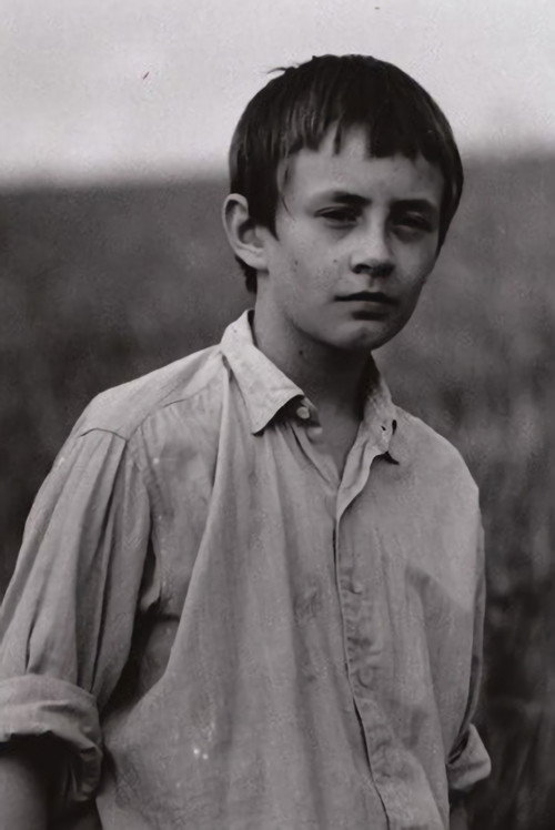 Movie poster for Country (2000)