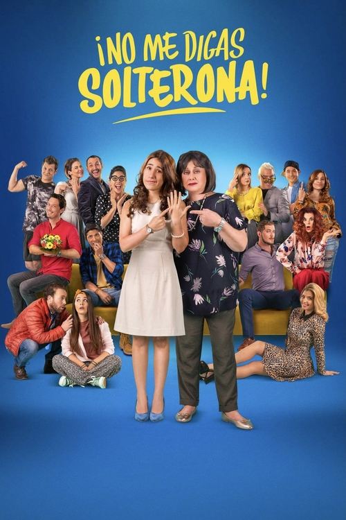 Movie poster for Don't Call Me Spinster (2018)