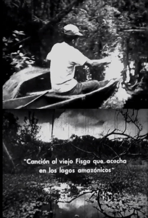 Movie poster for Canción al viejo fisga que acecha en los lagos amazónicos (1978)