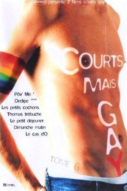 Movie poster for Courts mais Gay : Tome 6 (2003)