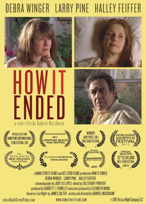 Movie poster for How It Ended (2011)