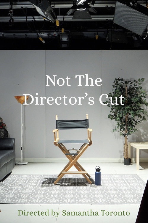 Movie poster for Not the Director's Cut (2023)