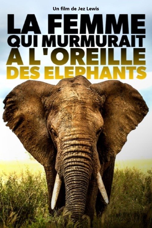 Movie poster for Elephant Mother (2024)