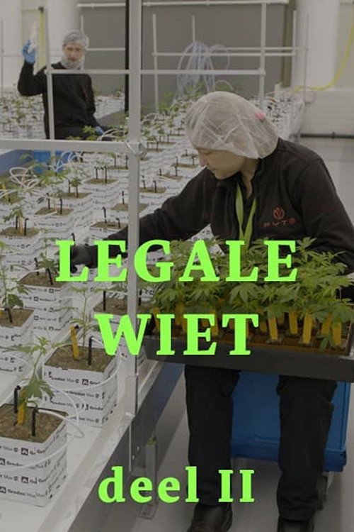 Movie poster for Legal weed 2 (2024)