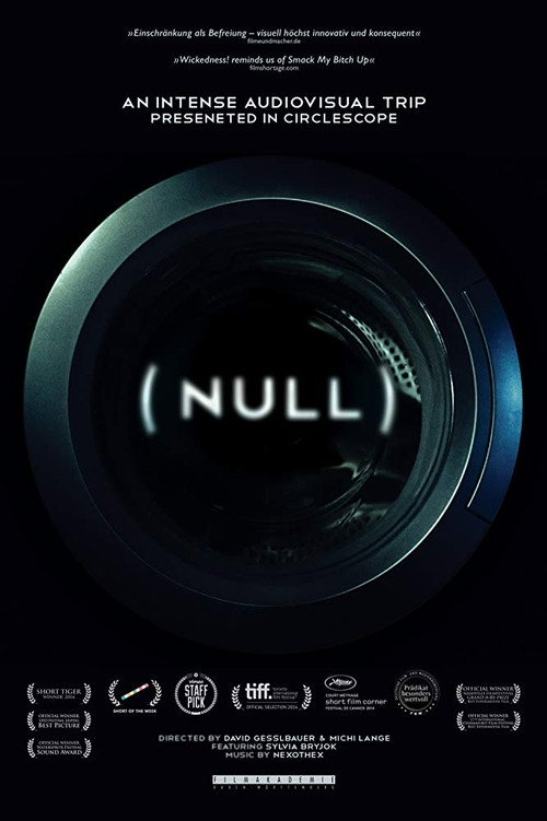 Movie poster for (NULL) (2013)