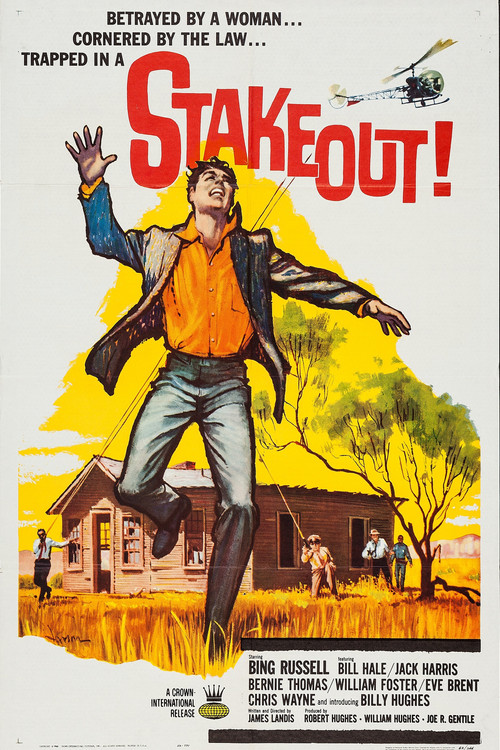 Movie poster for Stakeout! (1962)