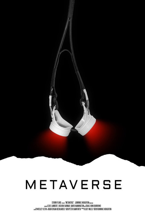 Movie poster for Metaverse (2017)