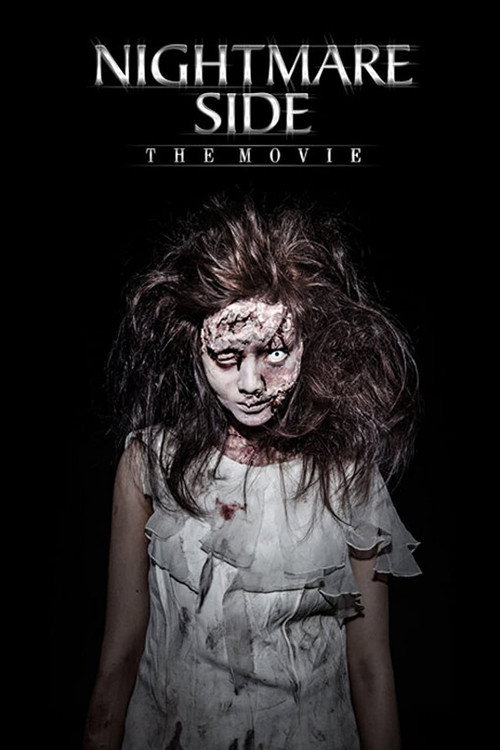 Movie poster for Nightmare Side (2013)